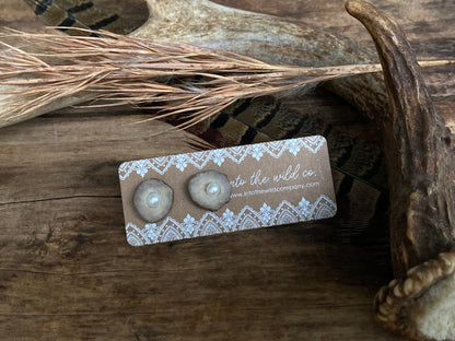 Signature Pearl or Gemstone Inlaid Antler Studs MTO