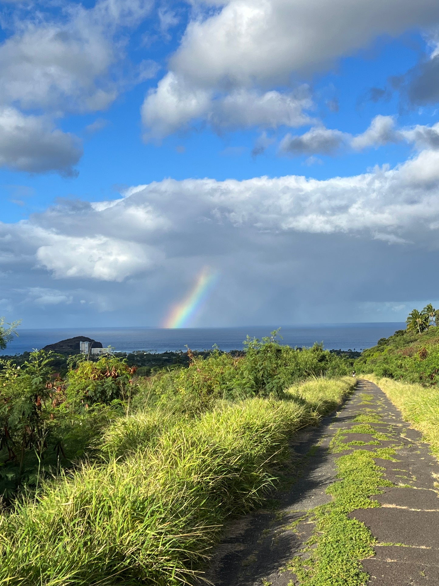 Summer Solstice Collection