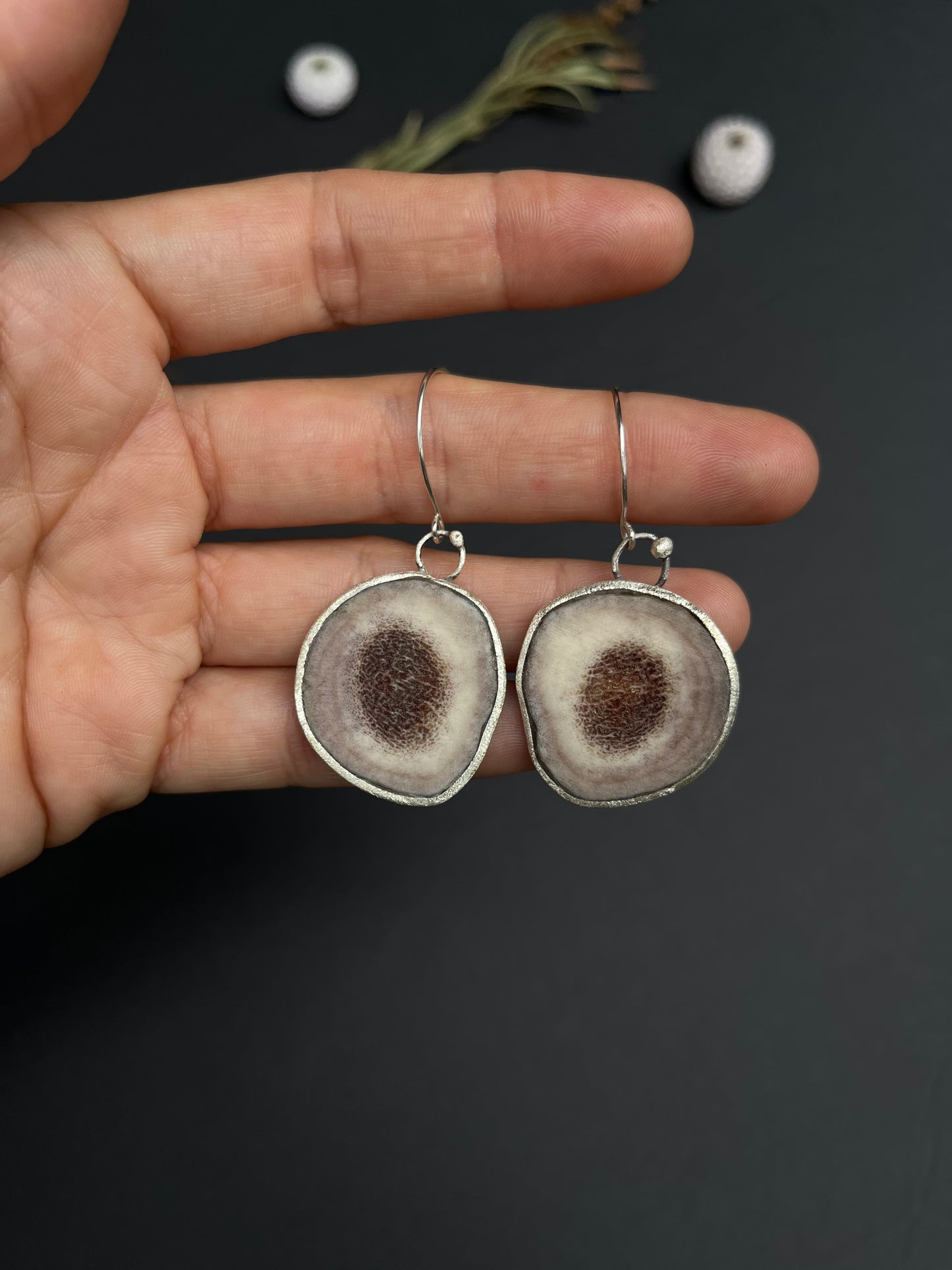 Mule Deer Earrings