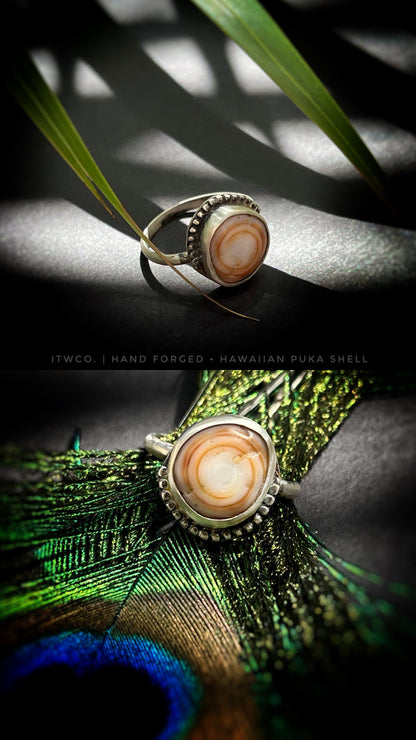 Cinnamon Puka Shell Ring MTO