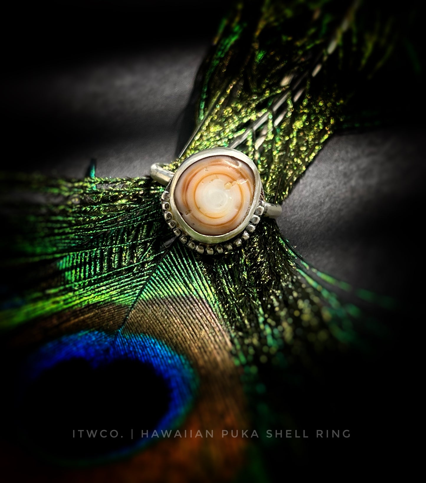 Cinnamon Puka Shell Ring RTS