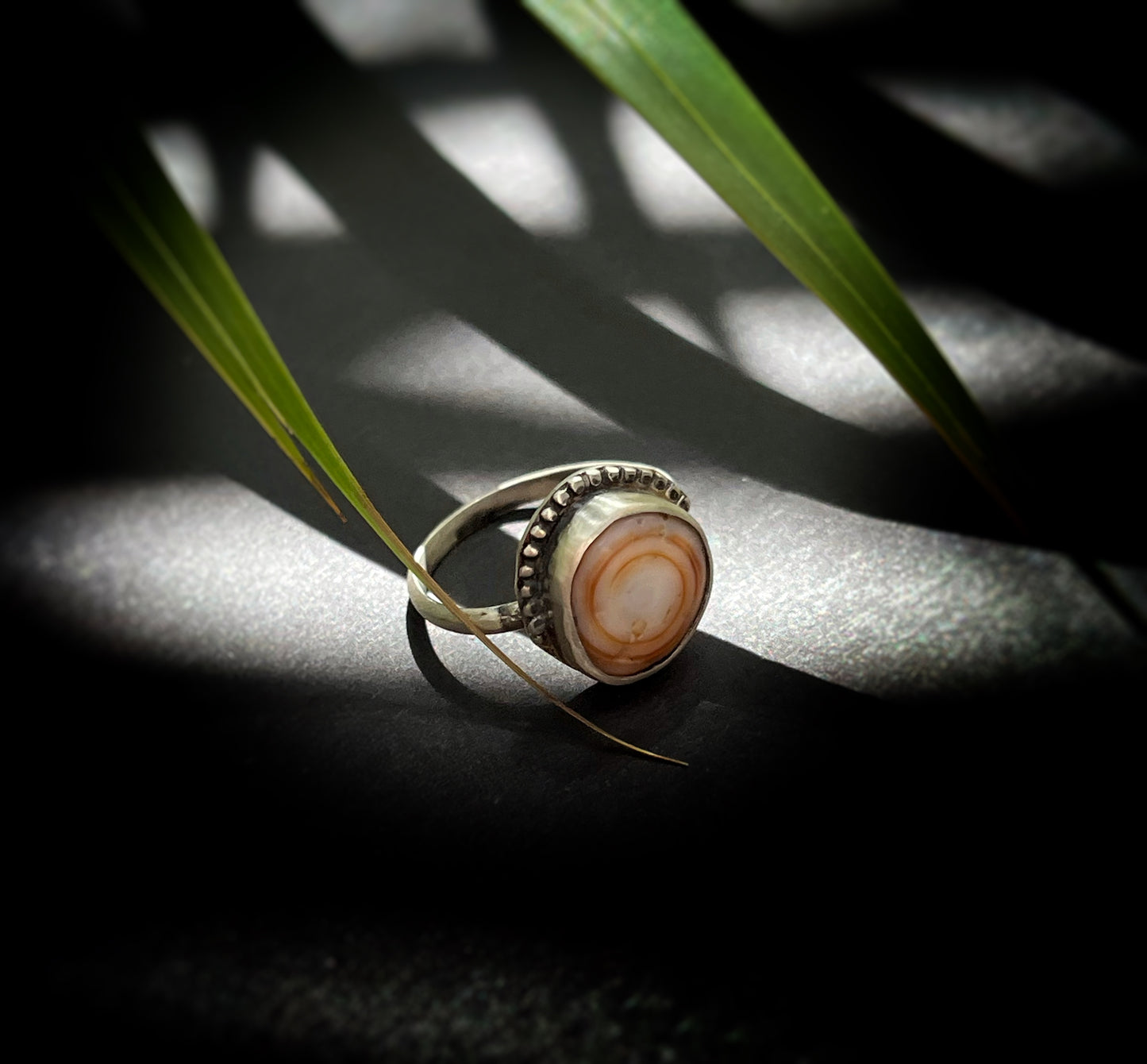 Cinnamon Puka Shell Ring RTS
