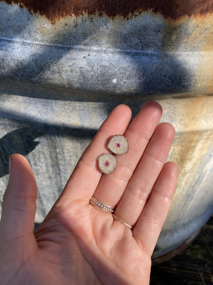 Ruby Inlaid Antler Studs