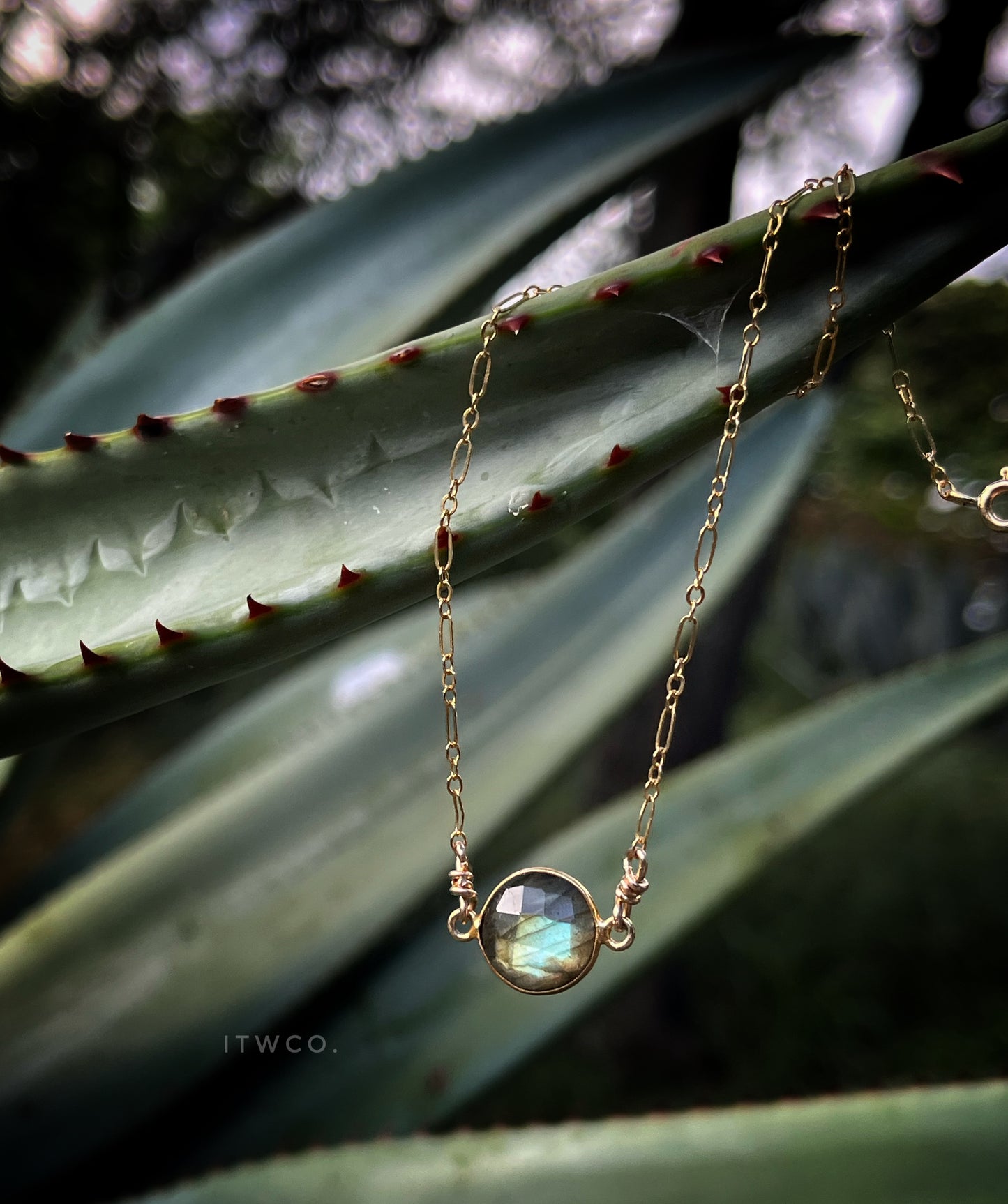 Summer Solstice Collection