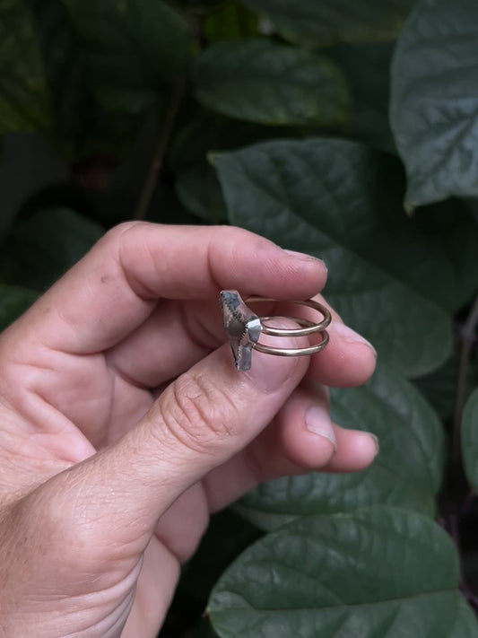 Shark Tooth Ring RTS
