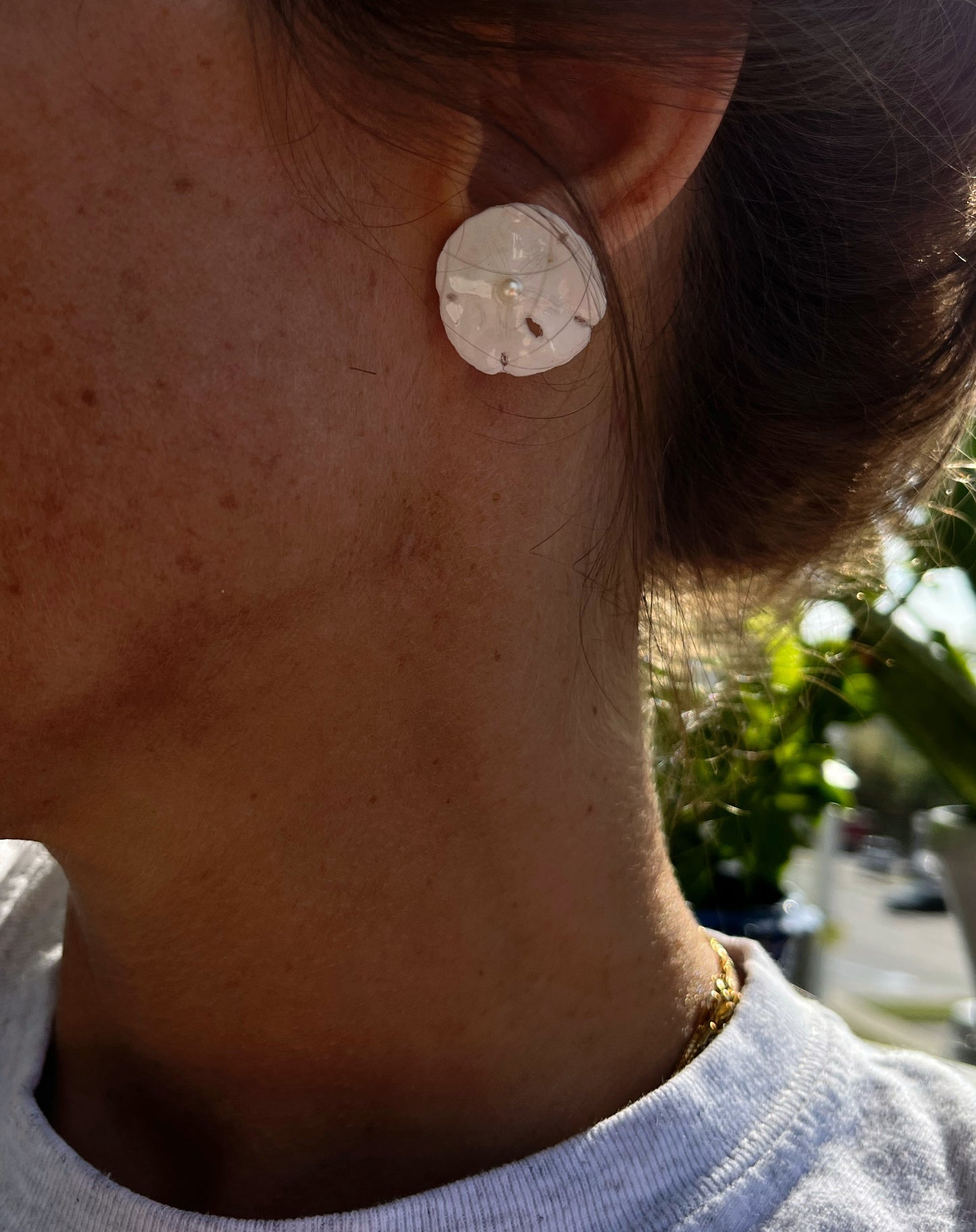 Sand Dollar + Pearl Studs ♢ rts