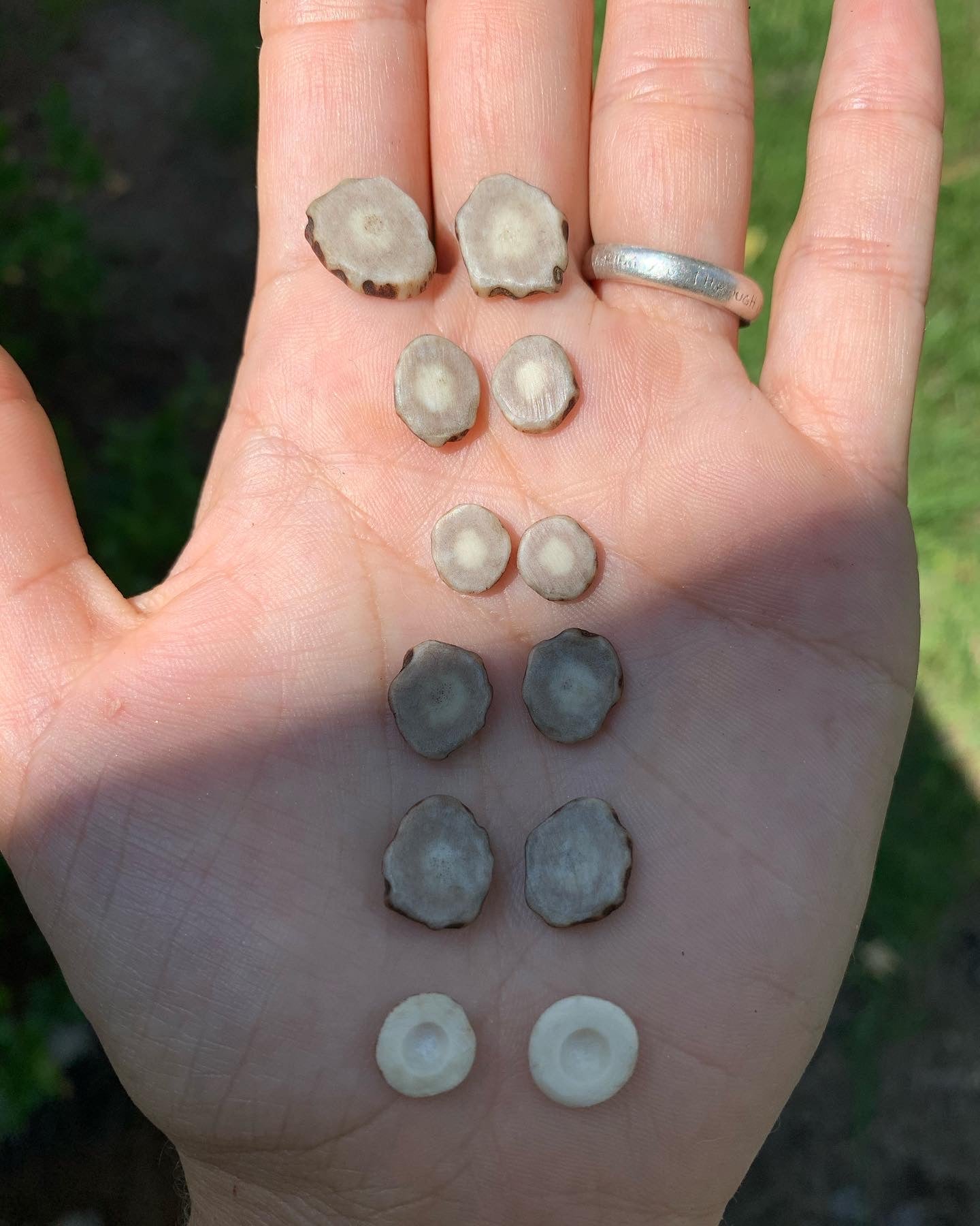 Signature Pearl Inlaid Antler Necklace