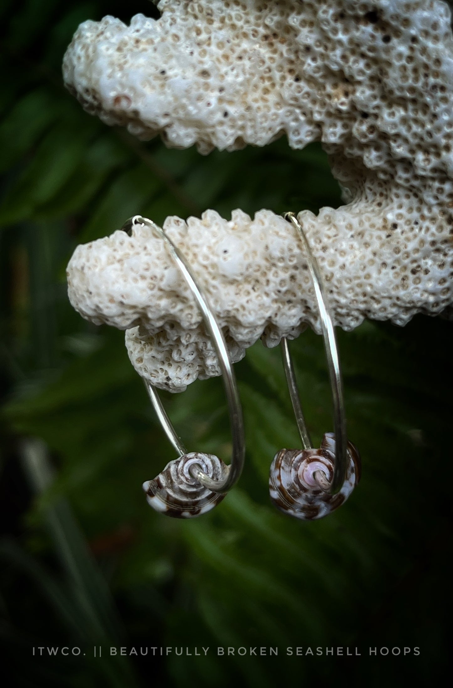 Beautifully Broken Puka Shell Hoops