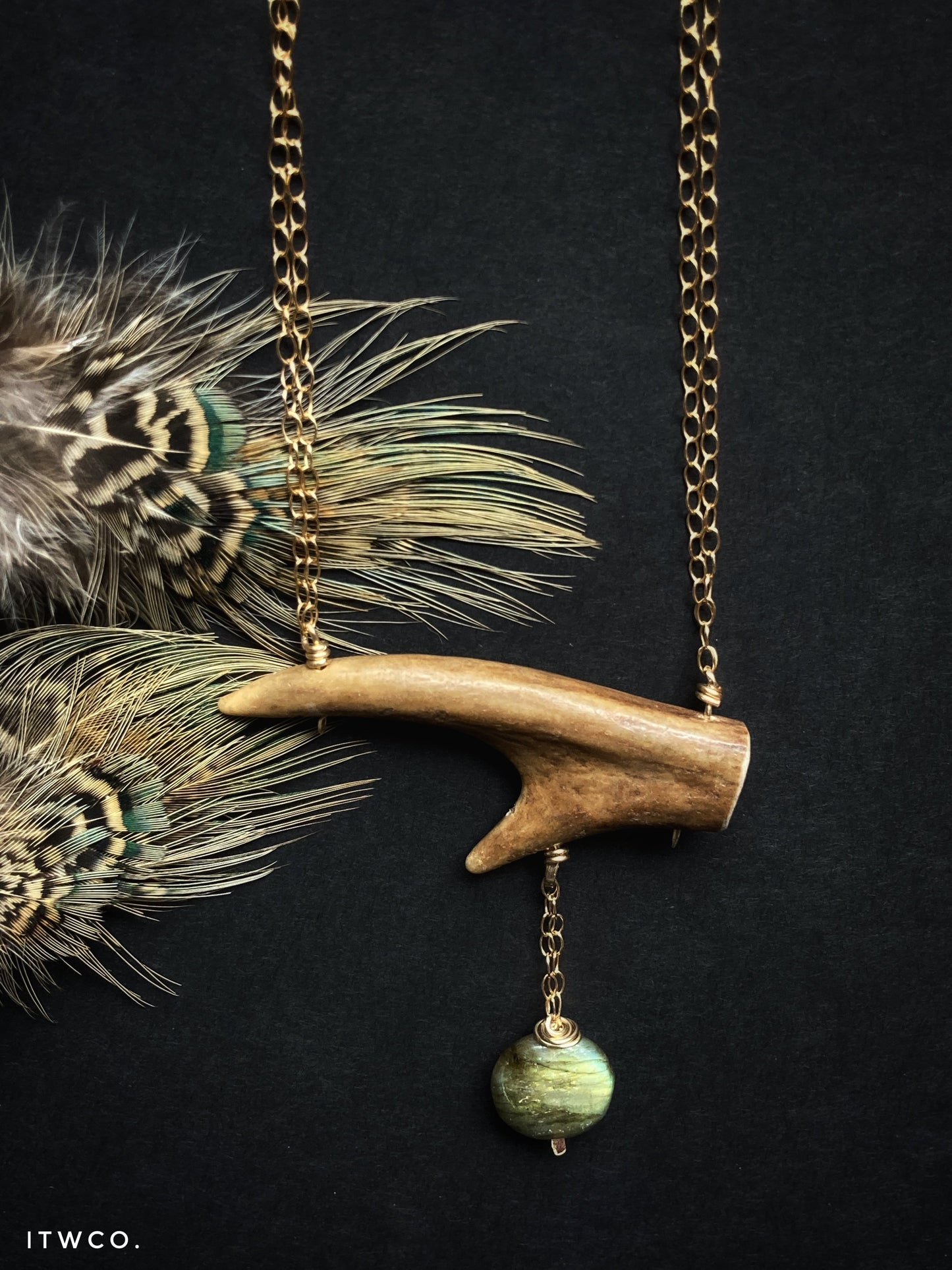 The Salty Dog ♢ rts