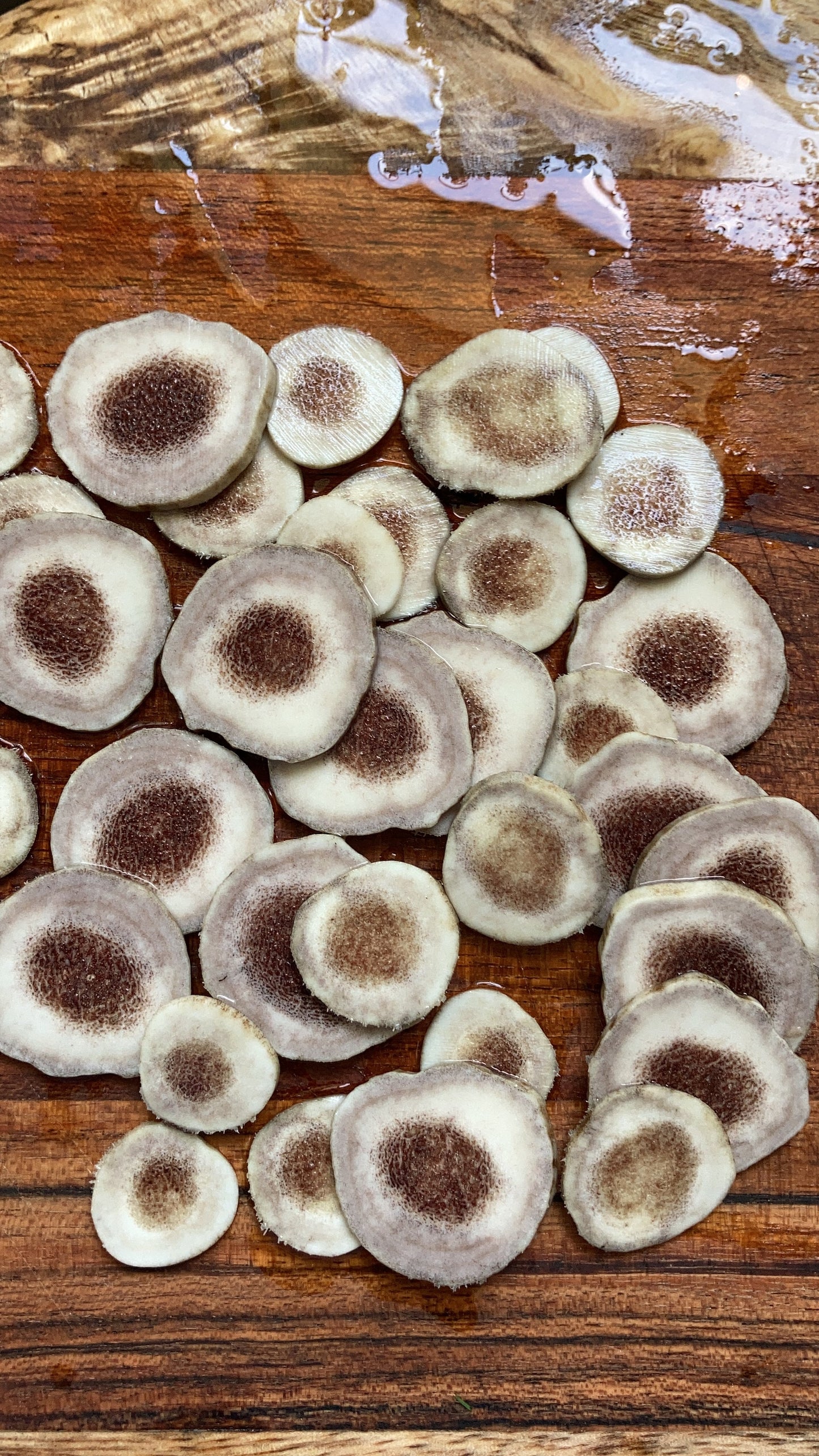 The Meryl Earrings ♢ rts