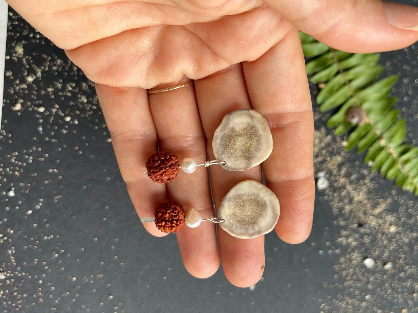 ”Red Robin” Studs