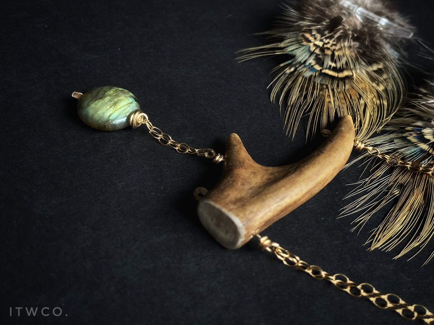 The Salty Dog ♢ rts