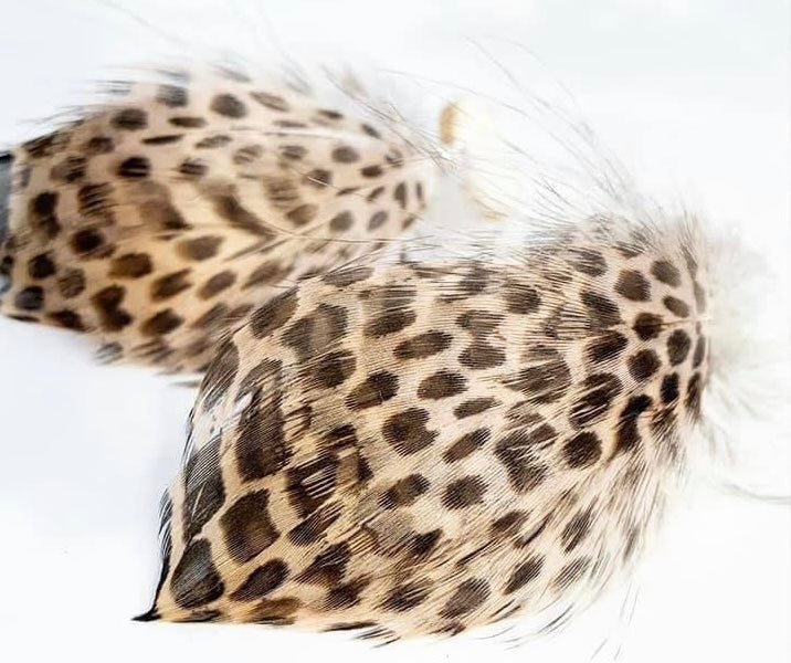 Carolina Cup Studs MTO